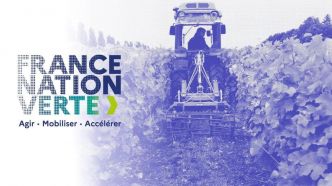 Planification écologique : 11,7 millions d'euros d'aides en faveur de la souveraineté protéique en France