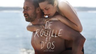 De rouille et d'os : où a été tourné le film avec Marion Cotillard ?