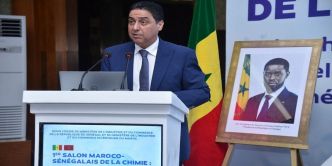 Chimie : Le Maroc plaide pour la création d'une Confédération africaine
