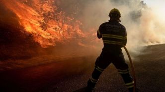 Deux morts dans des feux de forêt en Espagne, le pays redoute « un été compliqué »