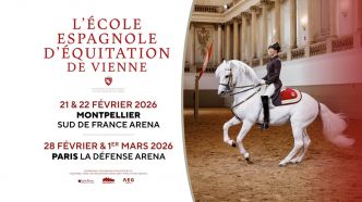 Quatre dates en France pour l'Ecole Espagnole d'équitation de Vienne