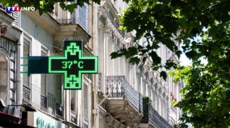 Habitez-vous dans un îlot de chaleur ? | TF1 INFO
