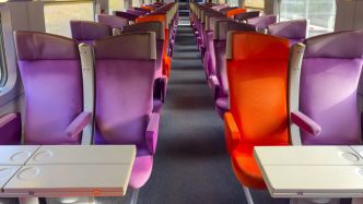 Canicule : "J'ai eu l'impression qu'il allait mourir"... Le chat d'une passagère de la SNCF convulse en raison de l'absence de climatisation
