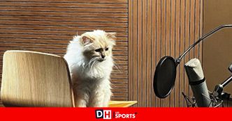 Une star surprise que personne n'avait remarquée pour Les Schtroumpfs, le film : le chat de Karl Lagerfeld