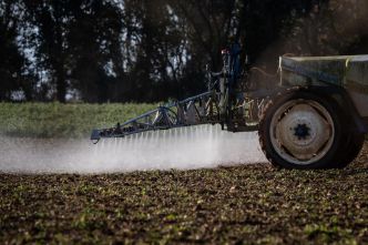 Un pesticide interdit en France découvert lors d'une inspection d'un géant de la chimie près de Lyon
