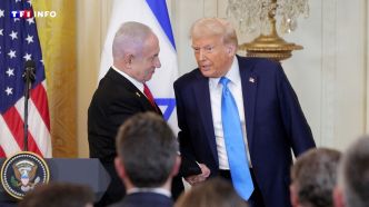 Trêve à Gaza : que sait-on du plan élaboré par Donald Trump et Israël ? | TF1 INFO