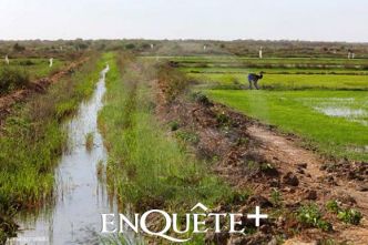 RÉSILIENCE CLIMATIQUE DES ZONES RURALES GRÂCE AU FINANCEMENT DES MIGRANTS : Le Sénégal dans un projet de 2 milliards F CFA de l'UE