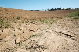 Sécheresses, inondations : face au changement climatique, l'Europe teste la « zone éponge »