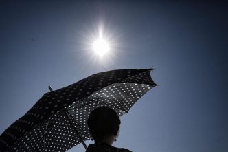 Canicule : deuxième mois de juin le plus chaud en France après 2003