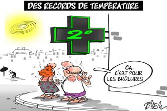 Vu par... Dilem