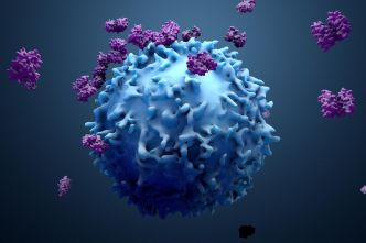 Immunothérapies des cancers : des cellules CAR-T produites in vivo