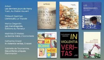 6 premiers romans sélectionnés pour le Prix Envoyé par la Poste