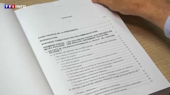 "Ça va relativement loin" : pour le porte-parole des victimes, le rapport de la commission d'enquête Bétharram "va compter" | TF1 INFO