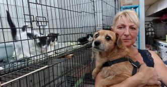 Verdun. Protéger les animaux de la chaleur : les bénévoles de Targa à pied d'œuvre
