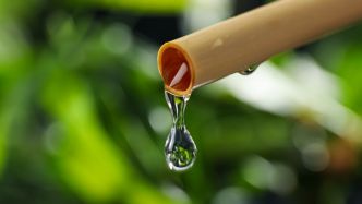 Un retraité détourne le courant d'un ruisseau pour créer un plan d'eau dans son jardin