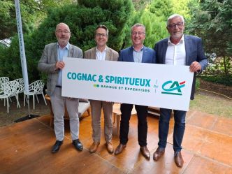 Les deux caisses régionales du Crédit Agricole unissent leurs forces pour soutenir la filière cognac