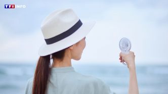 Fortes chaleurs : les mini-ventilateurs, une fausse bonne idée ? | TF1 INFO