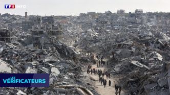 VÉRIF' - Que sait-on des violences meurtrières lors des distributions humanitaires à Gaza ? | TF1 INFO