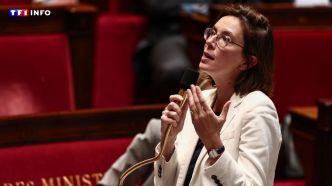Faut-il augmenter les impôts ? Le socle commun se divise (déjà) sur le budget 2026 | TF1 INFO