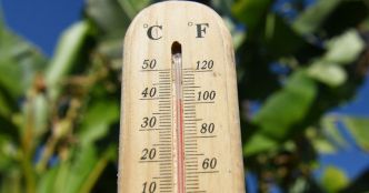 Alsace. 38,3°C à Strasbourg centre, 37,2°C à Colmar, 37,4°C à Bâle-Mulhouse : des températures très élevées ce mercredi