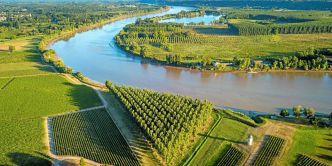 Vins blancs de l'entre-deux-mers : notre sélection de l'été 2025