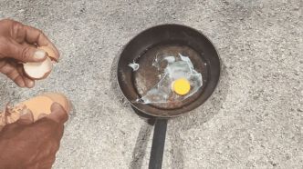 Pour dénoncer la chaleur étouffante du collège, il fait cuir un oeuf au plat sous le soleil dans la cour de récré