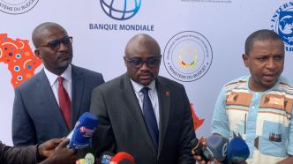Interruption de la reprise économique : le FMI met en garde l'Afrique subsaharienne, la Guinée mise sur sa résilience