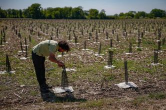 Climat : la Commission affaiblit son objectif de réduction des émissions carbone pour 2040 dans l'espoir d'en faciliter l'adoption