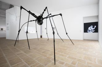 A Landerneau, l'animal comme inépuisable filon artistique
