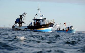 Repos biologique : la pêche industrielle suspendue jusqu'au 31 août