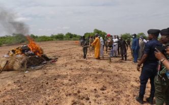Dosso : Plus de 300 kg de drogues d'une valeur de 420 millions F CFA incinérés pour marquer la lutte contre le trafic