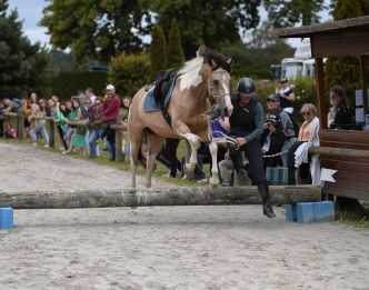 Que faire ce week-end du 4 au 6 juillet à Pau et en Béarn ? Découvrez notre Top 10 des sorties