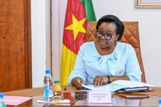 SCDP : le bénéfice en chute de 33 % 2,1 milliards de FCFA malgré un chiffre d'affaires en hausse en 2024