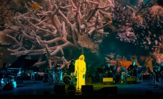 Anohni en concert à Genève: «Dans très peu de temps, le monde ne sera plus durable»