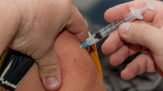 Chikungunya : un lien avec le vaccin établi dans la moitié des cas d'effets indésirables graves