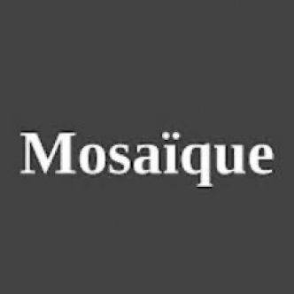 Mosaïque. Raphaël Bécache: « Non, les soldats israéliens ne tirent pas sur les civils »