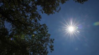Canicule : la Provence en vigilance orange ce jeudi et vendredi