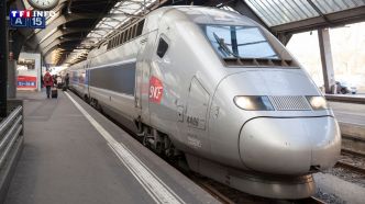 En France, il est moins cher de voyager en train qu'en avion, sauf dans certains cas | TF1 INFO