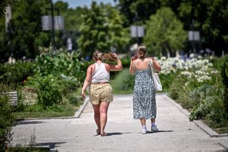 Canicule en France : jusqu'à 38°C ce jeudi, l'alerte toujours pas levée