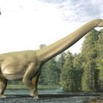Des surprises découvertes dans le ventre d'un dinosaure géant