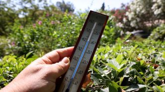 "Pertuis doit s'y préparer" : les militants socialistes locaux réclament une réaction face à la canicule