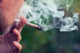 Le taux de consommation de cannabis chez la tranche d'âge de 15 à 17 ans a été multiplié par quatre entre 2013 et 2021