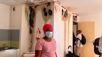 Sainte-Clotilde : la CNL dénonce "un scandale sanitaire” dans un logement SIDR, une locataire en danger