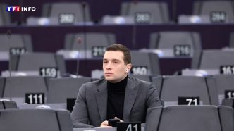Le RN de nouveau mis en cause dans une affaire de détournements financiers au Parlement européen | TF1 INFO