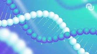 Créer un chromosome humain de toutes pièces : c’est le défi de ces scientifiques