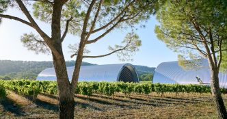 Rosés : notre visite guidée des plus beaux chais d'architecte de Provence