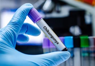 Chikungunya : quels sont les effets indésirables du vaccin ?