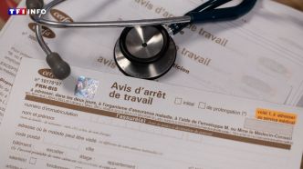Arrêt de travail : un nouveau formulaire obligatoire, l'ancien accepté jusqu'au 1er septembre | TF1 INFO