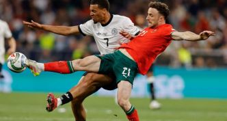 Le Portugais Diogo Jota est décédé dans un accident de la route à 28 ans