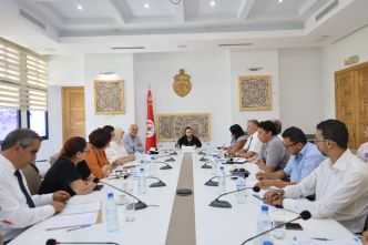 Glissements de terrain à Sidi Bou Said : vers un plan de sauvetage national